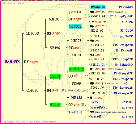 Pedigree of JMN433 :
four generations presented