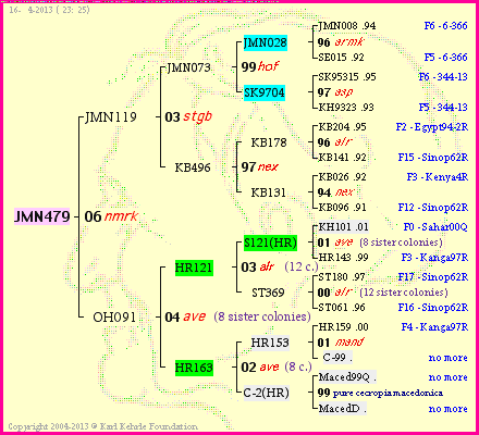 Pedigree of JMN479 :
four generations presented