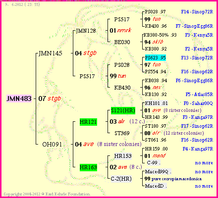 Pedigree of JMN483 :
four generations presented