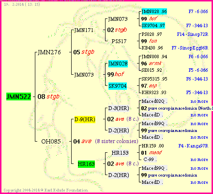 Pedigree of JMN522 :
four generations presented