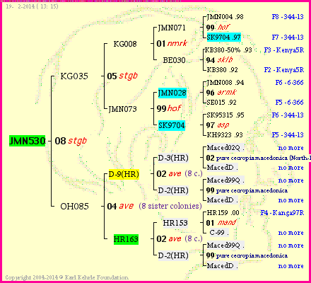 Pedigree of JMN530 :
four generations presented