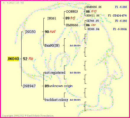 Pedigree of JN040 :
four generations presented