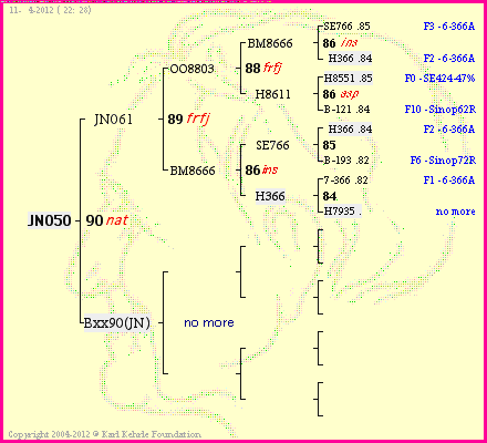 Pedigree of JN050 :
four generations presented