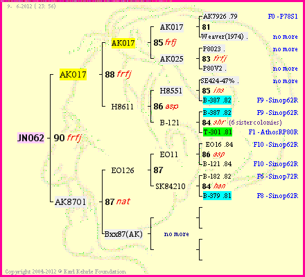 Pedigree of JN062 :
four generations presented