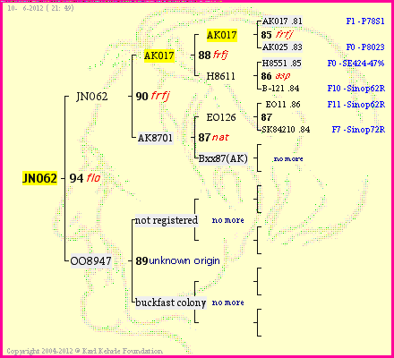 Pedigree of JN062 :
four generations presented