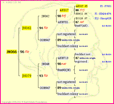 Pedigree of JN066 :
four generations presented