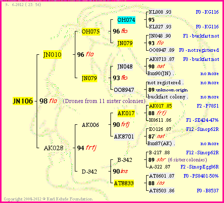 Pedigree of JN106 :
four generations presented