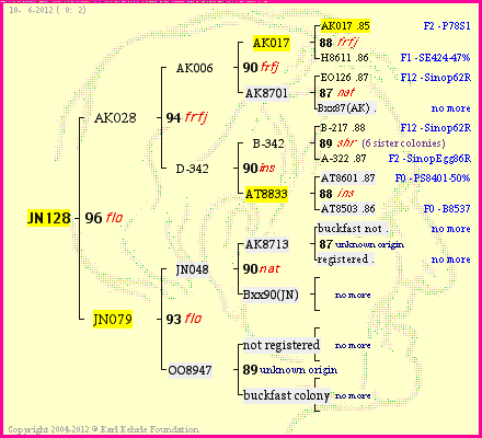 Pedigree of JN128 :
four generations presented