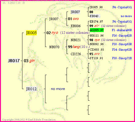 Pedigree of JR017 :
four generations presented