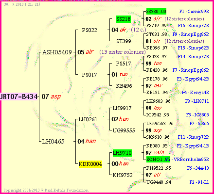 Pedigree of JRT07-B434 :
four generations presented