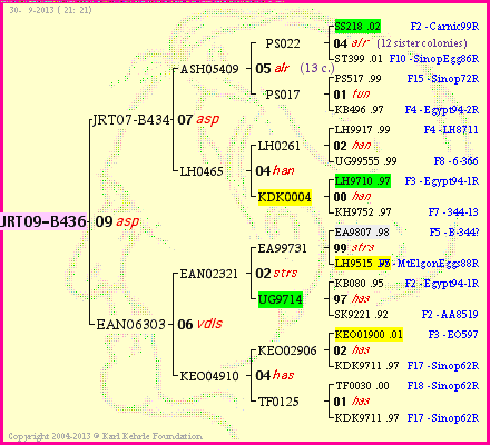 Pedigree of JRT09-B436 :
four generations presented