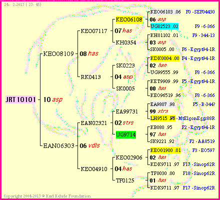 Pedigree of JRT10101 :
four generations presented