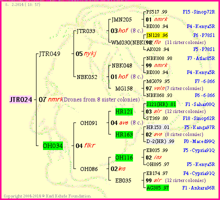 Pedigree of JTR024 :
four generations presented