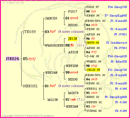 Pedigree of JTR026 :
four generations presented