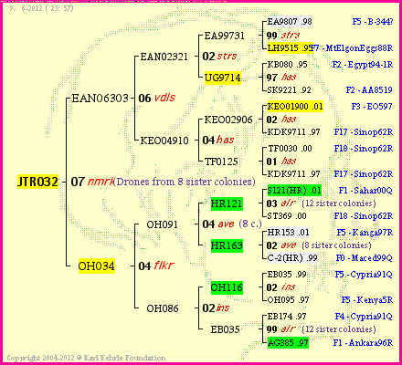 Pedigree of JTR032 :
four generations presented