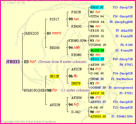 Pedigree of JTR033 :
four generations presented