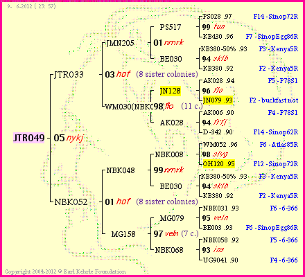 Pedigree of JTR049 :
four generations presented