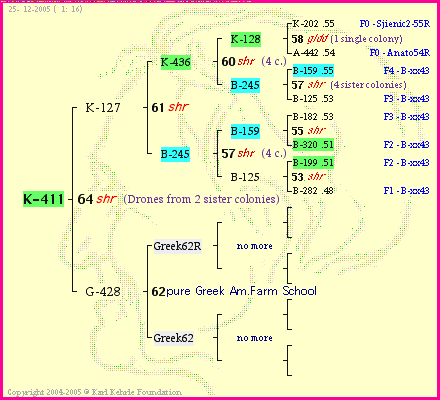 Pedigree of K-411 :
four generations presented