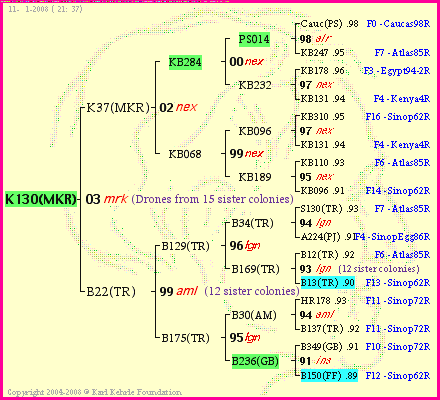 Pedigree of K130(MKR) :
four generations presented