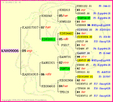 Pedigree of KAH09006 :
four generations presented