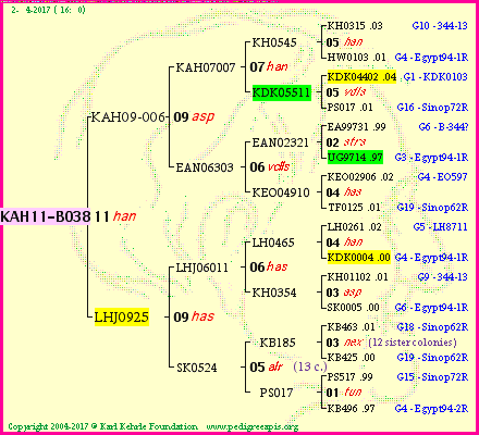 Pedigree of KAH11-B038 :
four generations presented