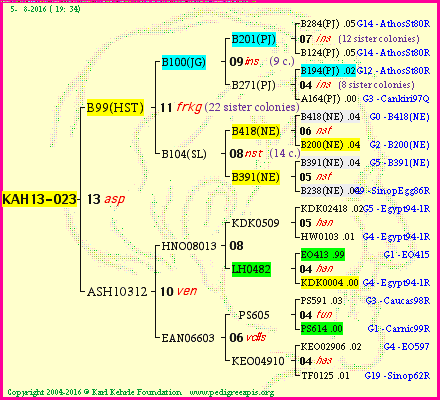 Pedigree of KAH13-023 :
four generations presented