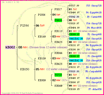 Pedigree of KB002 :
four generations presented
it's temporarily unavailable, sorry!