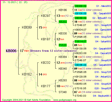 Pedigree of KB006 :
four generations presented
it's temporarily unavailable, sorry!