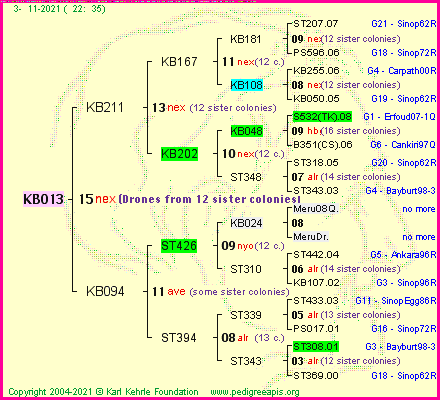 Pedigree of KB013 :
four generations presented
it's temporarily unavailable, sorry!