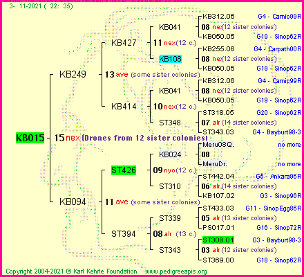 Pedigree of KB015 :
four generations presented
it's temporarily unavailable, sorry!