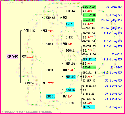 Pedigree of KB049 :
four generations presented