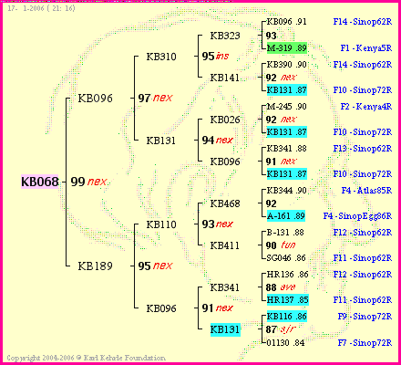 Pedigree of KB068 :
four generations presented