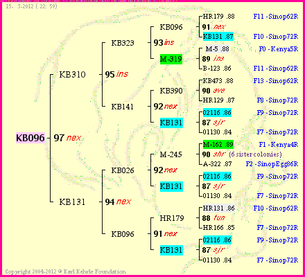 Pedigree of KB096 :
four generations presented