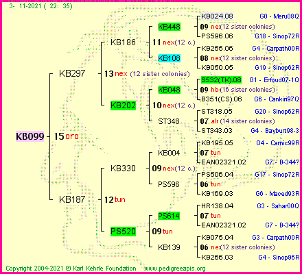 Pedigree of KB099 :
four generations presented
it's temporarily unavailable, sorry!