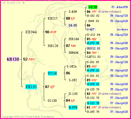 Pedigree of KB130 :
four generations presented