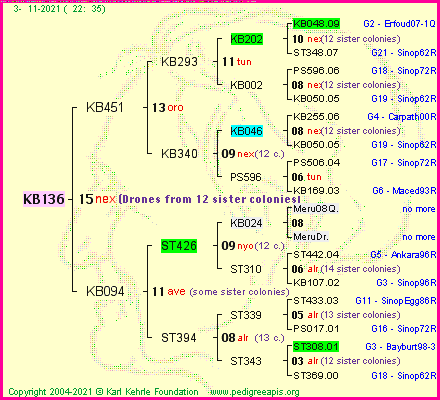 Pedigree of KB136 :
four generations presented
it's temporarily unavailable, sorry!