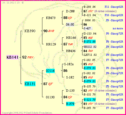 Pedigree of KB141 :
four generations presented