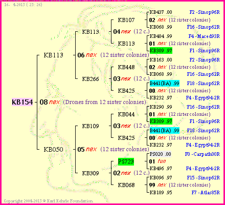 Pedigree of KB154 :
four generations presented