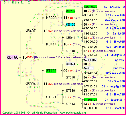 Pedigree of KB160 :
four generations presented
it's temporarily unavailable, sorry!