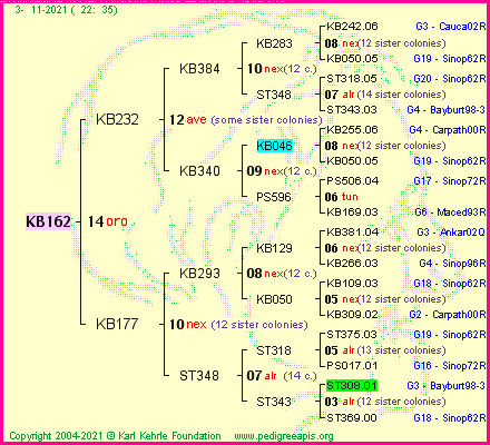 Pedigree of KB162 :
four generations presented
it's temporarily unavailable, sorry!