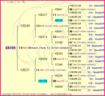 Pedigree of KB169 :
four generations presented
it's temporarily unavailable, sorry!