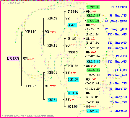 Pedigree of KB189 :
four generations presented