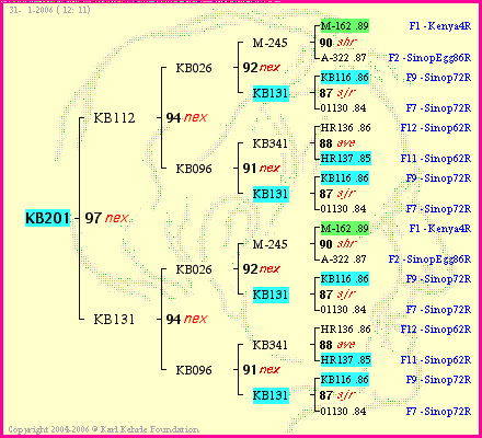 Pedigree of KB201 :
four generations presented
it's temporarily unavailable, sorry!