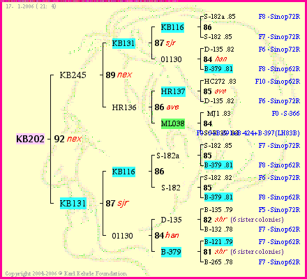 Pedigree of KB202 :
four generations presented
it's temporarily unavailable, sorry!