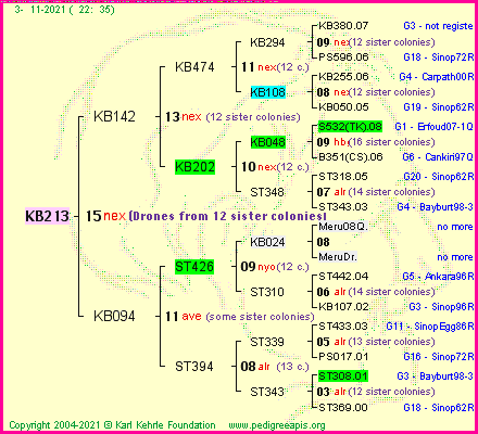 Pedigree of KB213 :
four generations presented
it's temporarily unavailable, sorry!