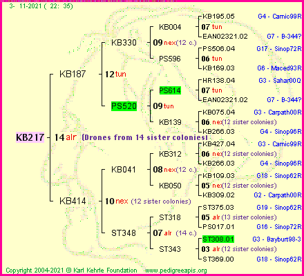 Pedigree of KB217 :
four generations presented
it's temporarily unavailable, sorry!