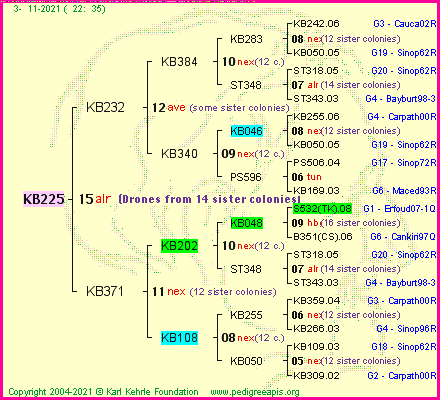 Pedigree of KB225 :
four generations presented
it's temporarily unavailable, sorry!