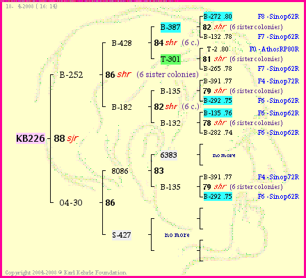 Pedigree of KB226 :
four generations presented
it's temporarily unavailable, sorry!