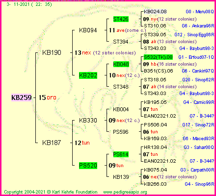 Pedigree of KB259 :
four generations presented
it's temporarily unavailable, sorry!