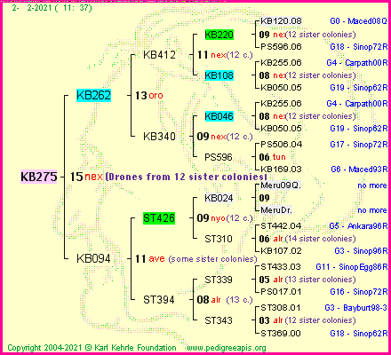 Pedigree of KB275 :
four generations presented
it's temporarily unavailable, sorry!